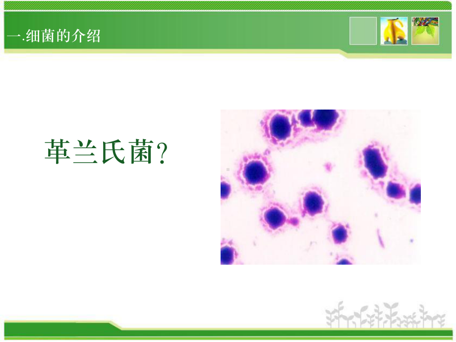 药理学基本知识-ppt课件.ppt_第3页