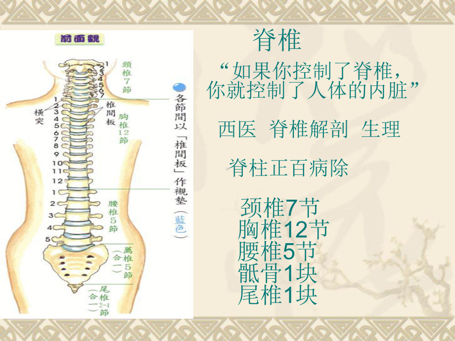 肩颈专业知识精品PPT课件.pptx_第2页