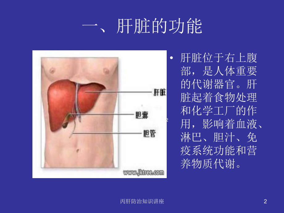 丙肝防治知识讲座培训课件.ppt_第2页