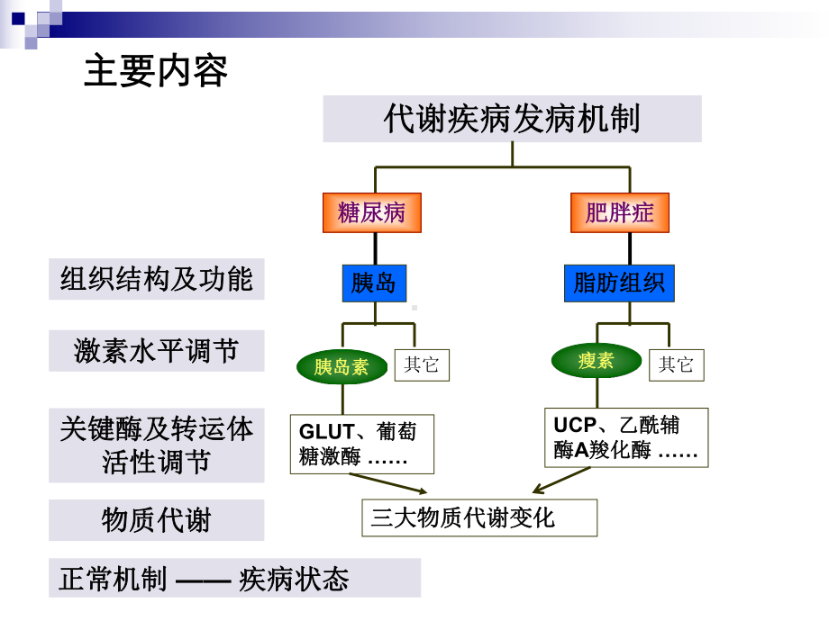 代谢疾病与营养疾病的生化机制优质PPT课件.ppt_第2页