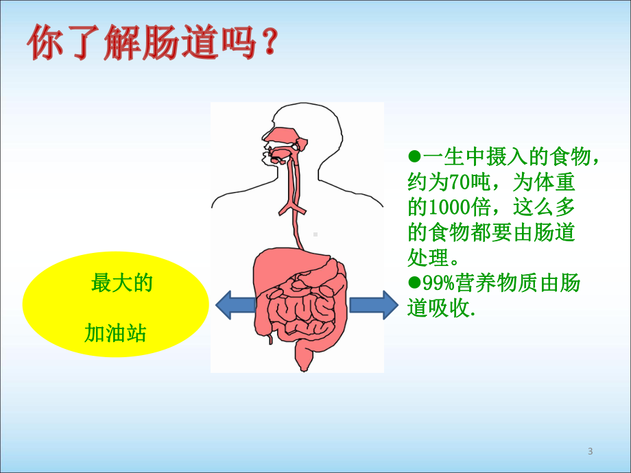 关注肠道健康PPT学习课件.ppt_第3页