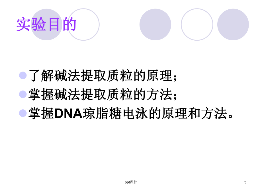 实验一质粒DNA的提取-ppt课件.ppt_第3页