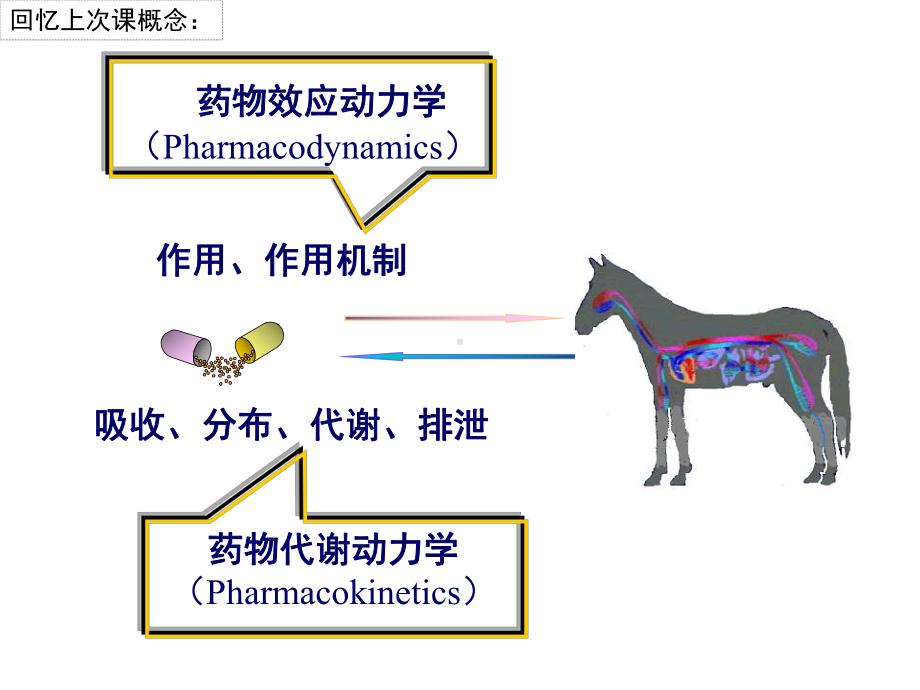 兽医药理学课件(第1章).ppt_第2页