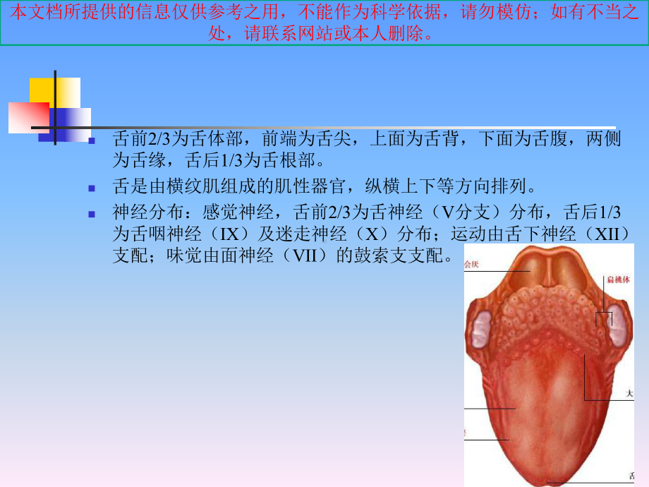 舌背舌腹图片