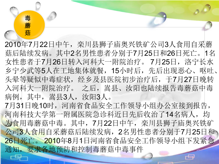 毒蘑菇PPT课件.ppt_第2页