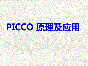 PICCO原理及应用PPT课件.ppt