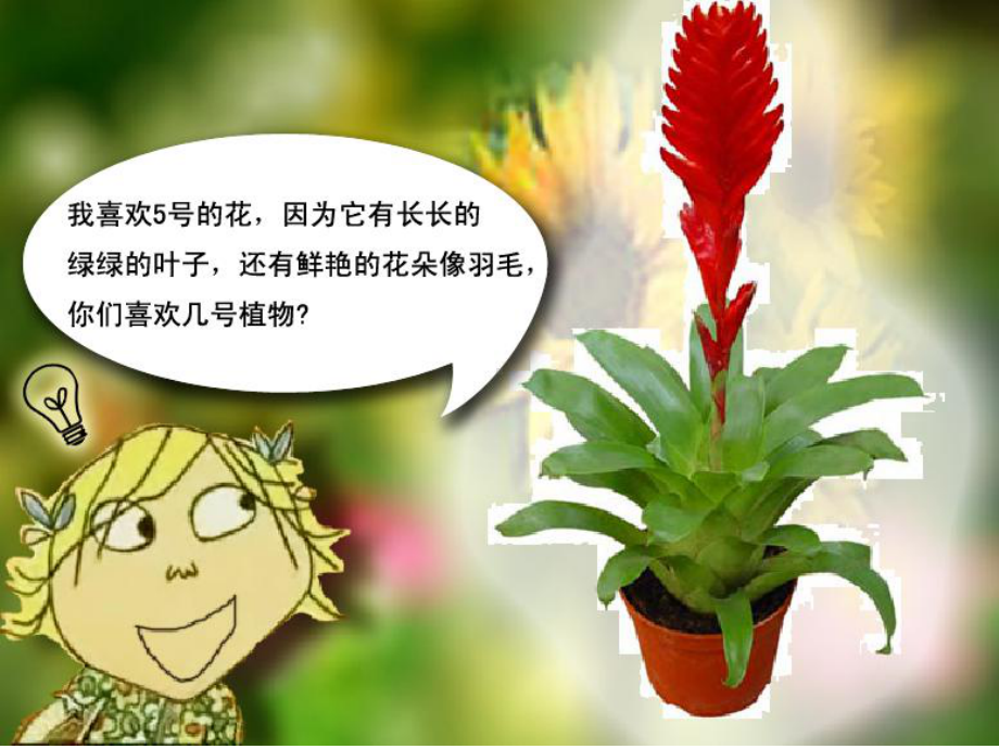 《太空里的植物》课件1.ppt_第3页