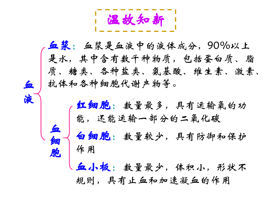 初中一年级生物上册课件.ppt_第3页