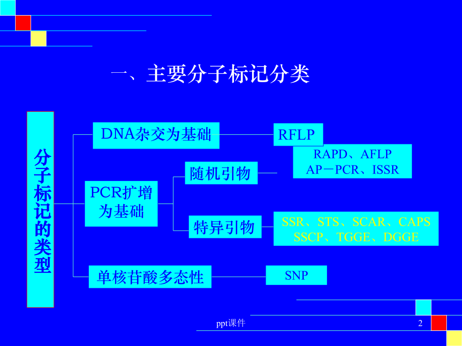 基因定位和图位克隆-ppt课件.ppt_第2页