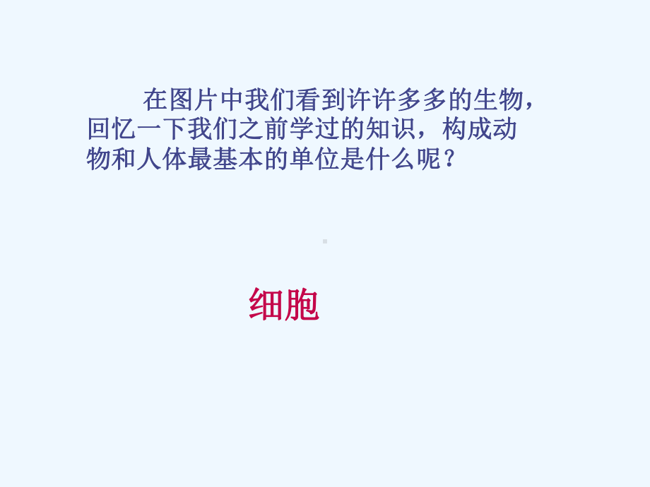 动物体的结构层次课件.ppt_第2页