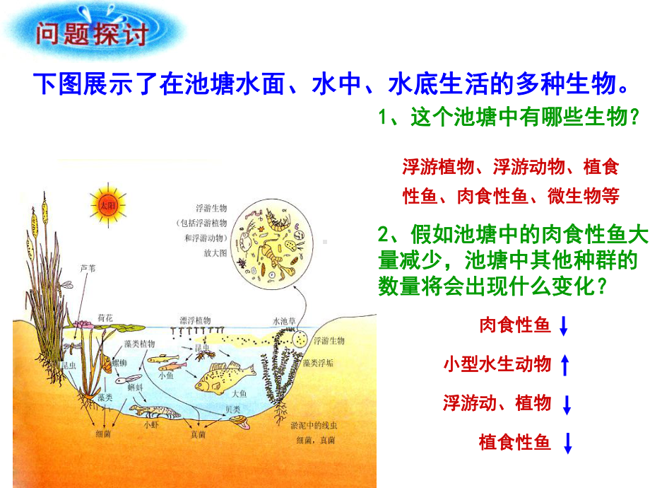 群落的结构优质课课件.ppt_第3页