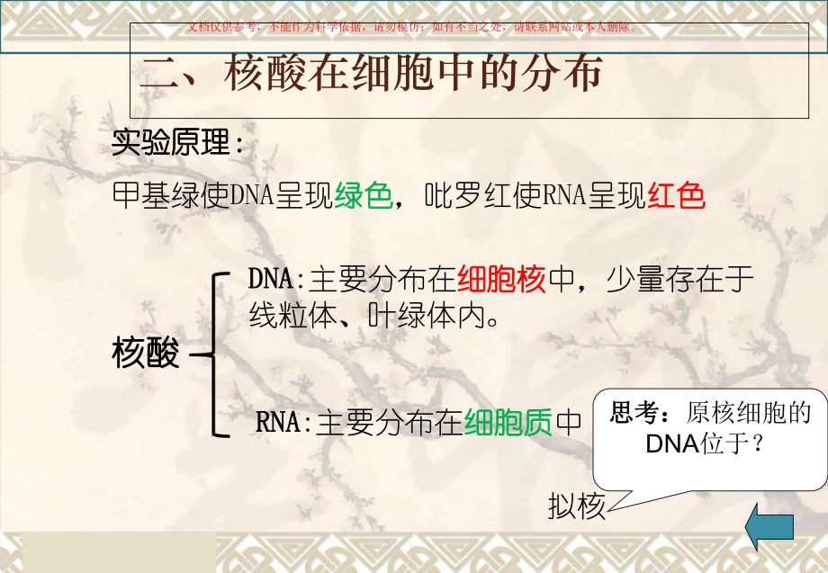 遗传信息的携带者──核酸专题知识课件.ppt_第3页