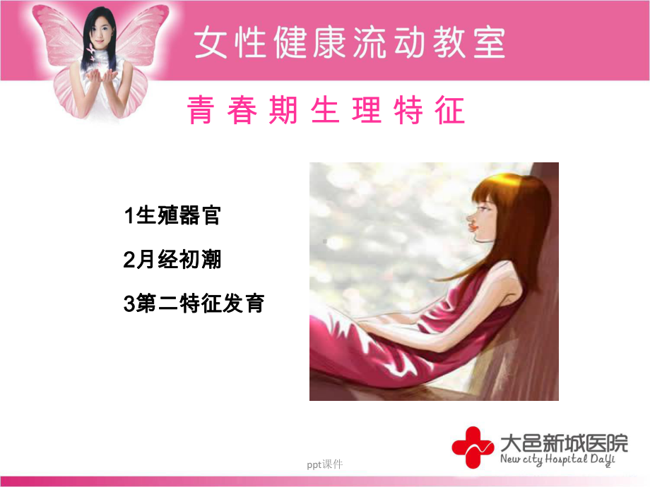 女性青春期保健-ppt课件.ppt_第2页