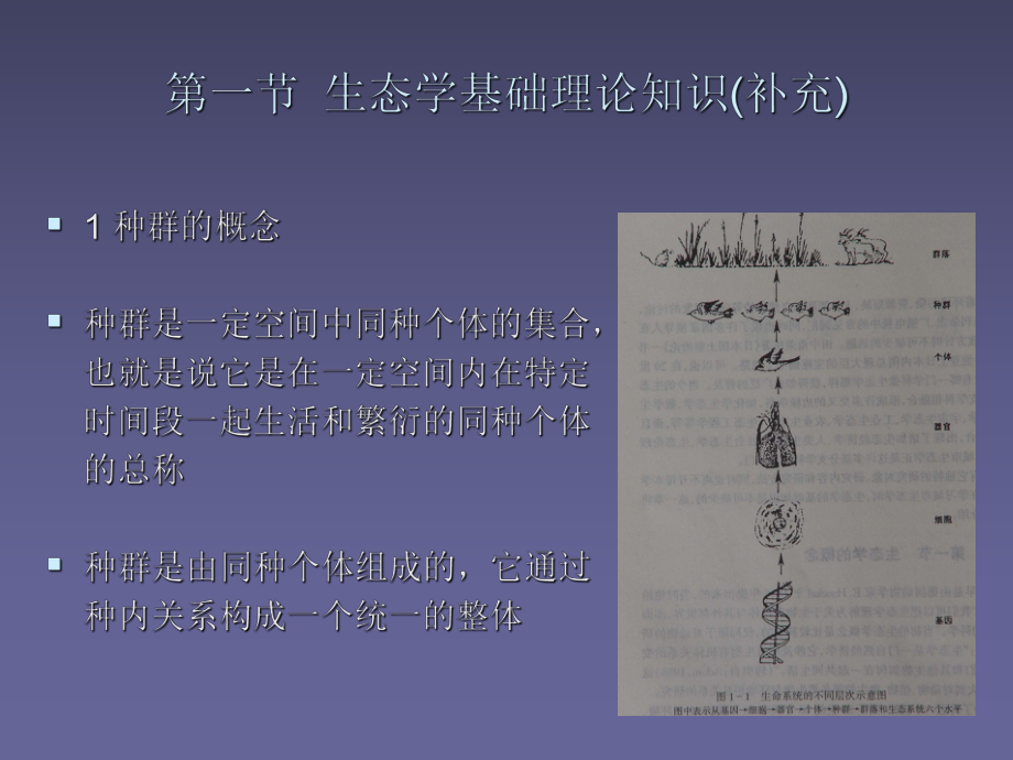 景观生态学基本理论PPT课件.ppt_第2页