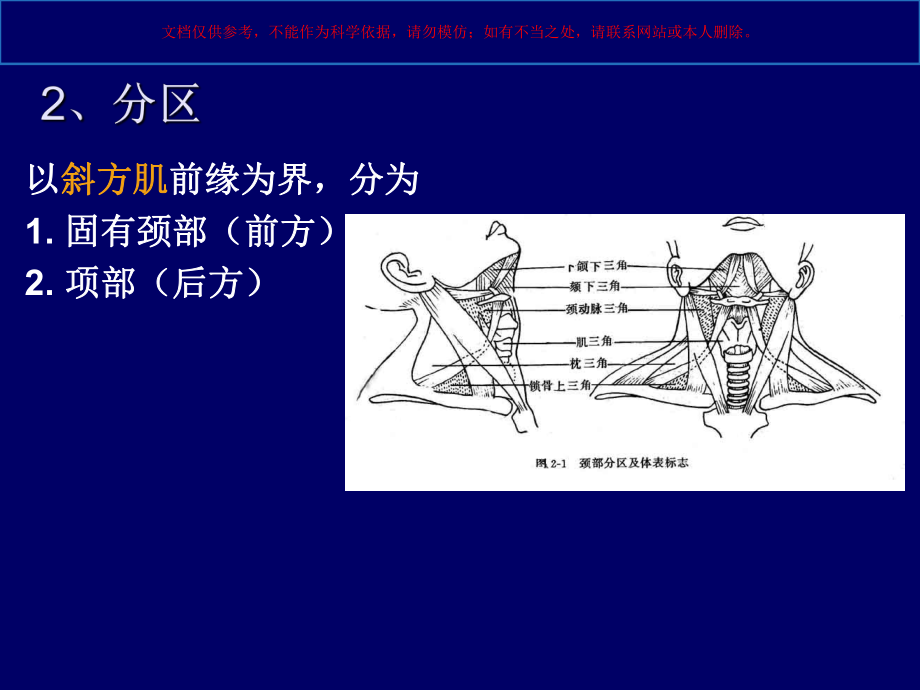 颈部专业知识培训培训课件.ppt_第2页