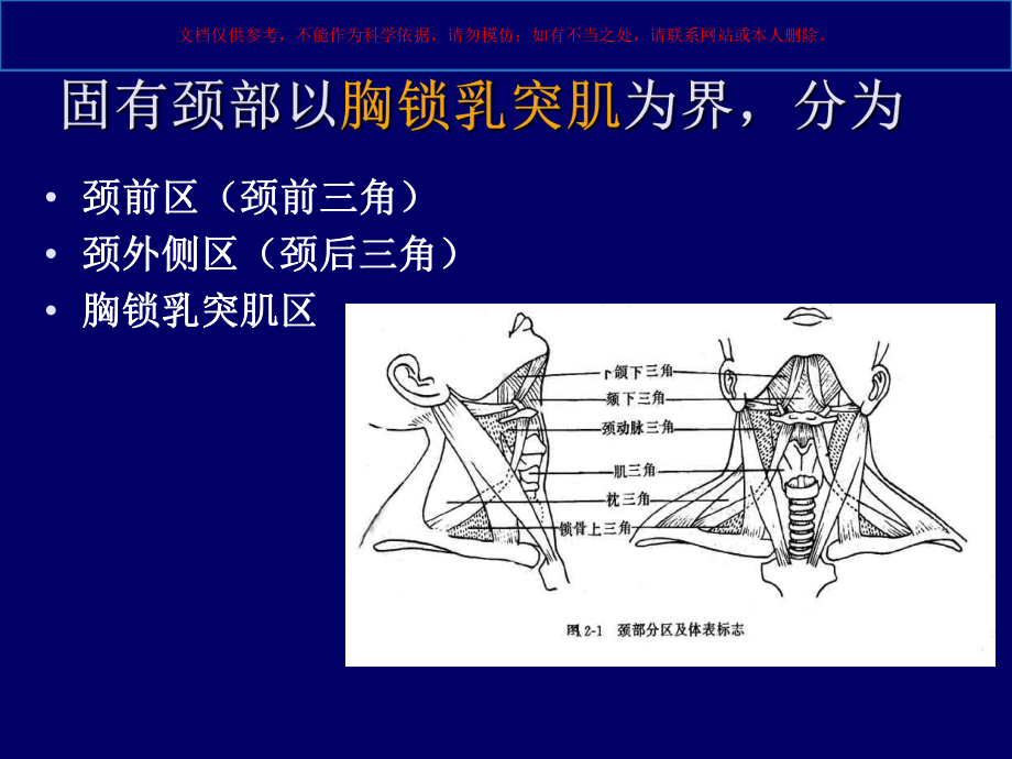 颈部专业知识培训培训课件.ppt_第3页