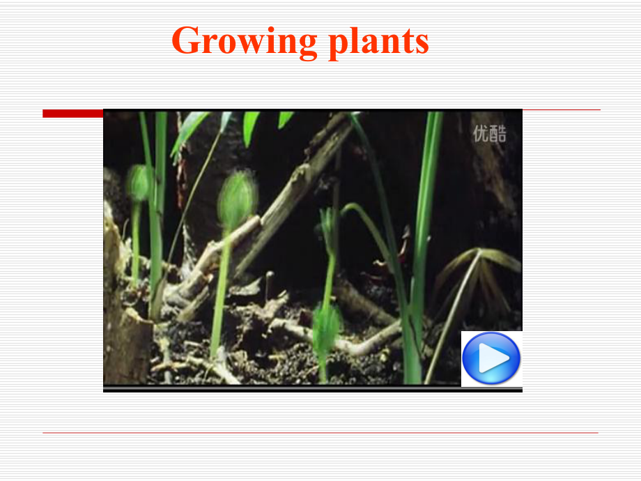 新冀教版八年级英语下册Unit-2-Plant-a-Plant-Lesson-12-Dannys-Plant精品课件(共26张PPT).ppt（无音视频）_第3页