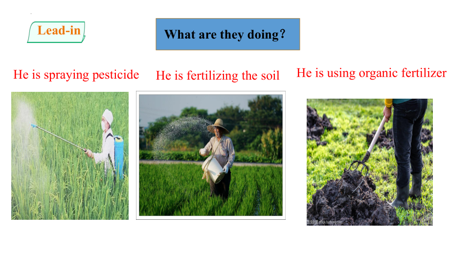 Unit5 Working the land period5 Chemical versus organic farming ppt课件-(2022新)人教版高中英语选择性必修第一册.pptx_第2页