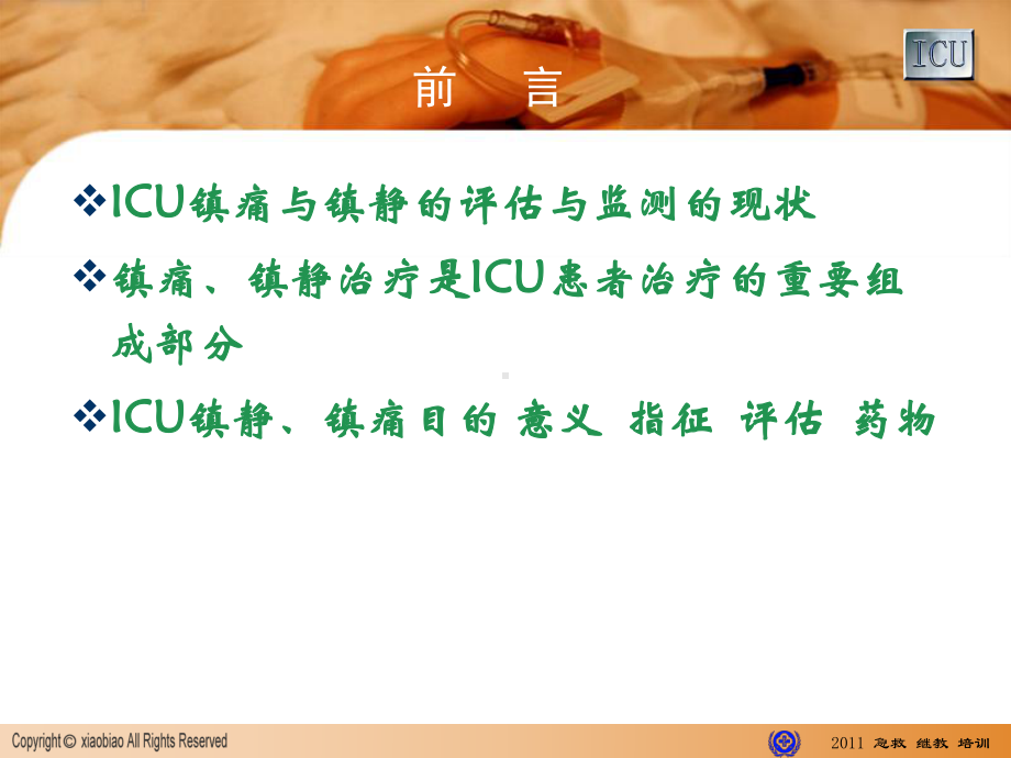 icu镇静镇痛指南ppt课件.ppt_第2页