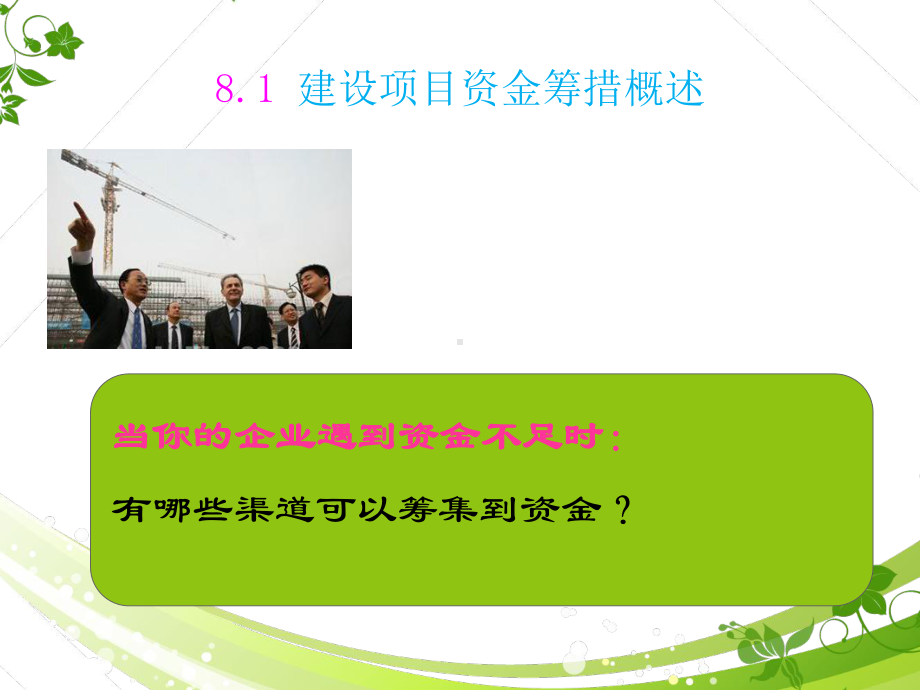 （工程经济）建设项目资金筹措-ppt课件.ppt_第2页