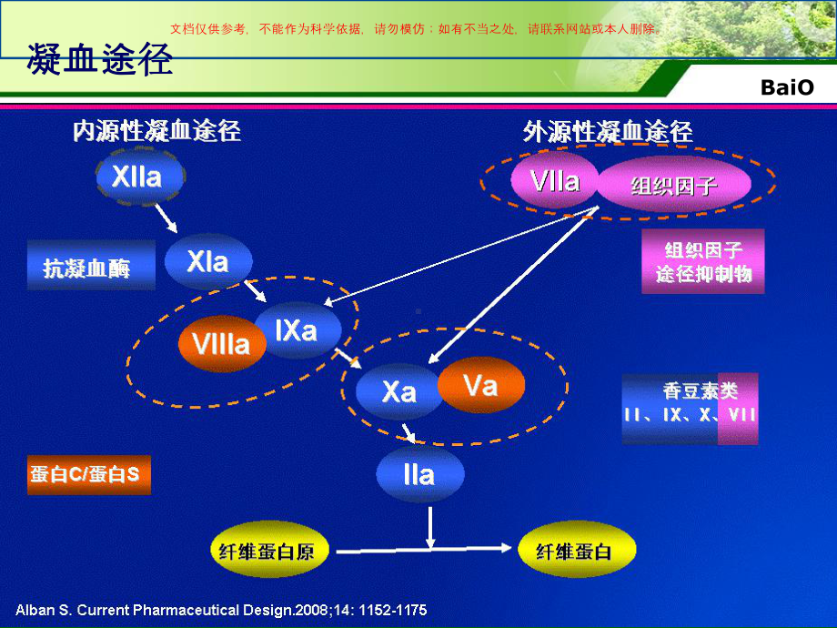 华法林基因检测全解课件.ppt_第2页