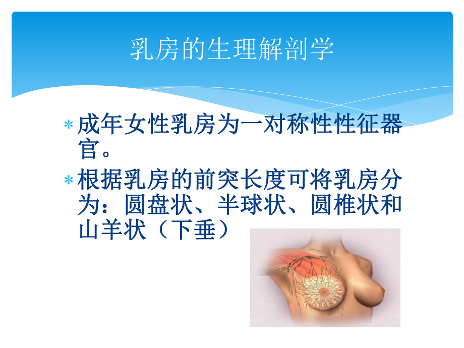 关爱乳房PPT课件.ppt_第2页