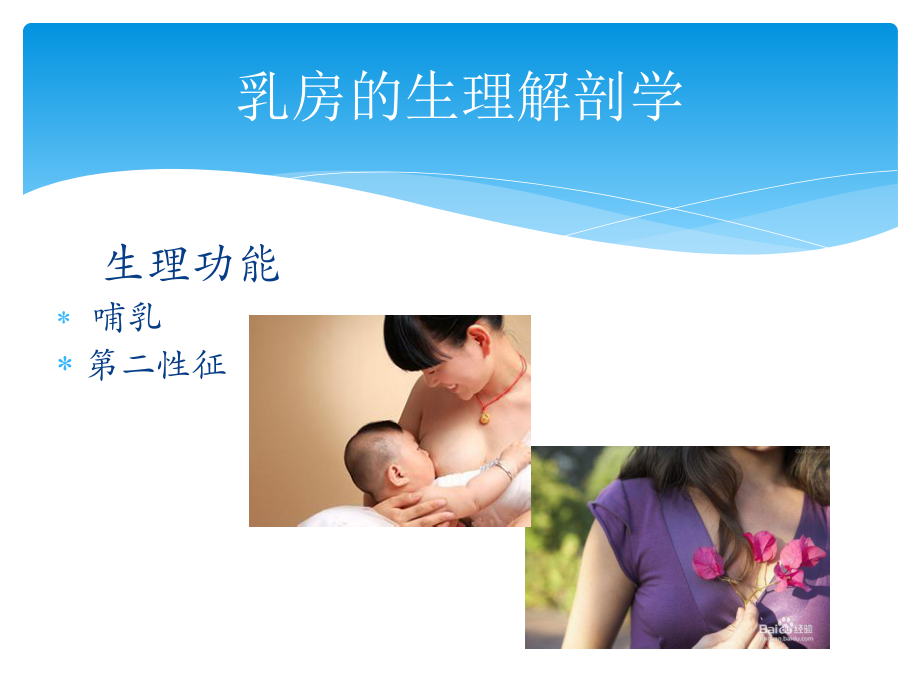 关爱乳房PPT课件.ppt_第3页