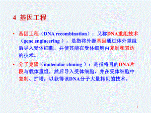 分子生物学-基因工程和核酸杂交课件.ppt