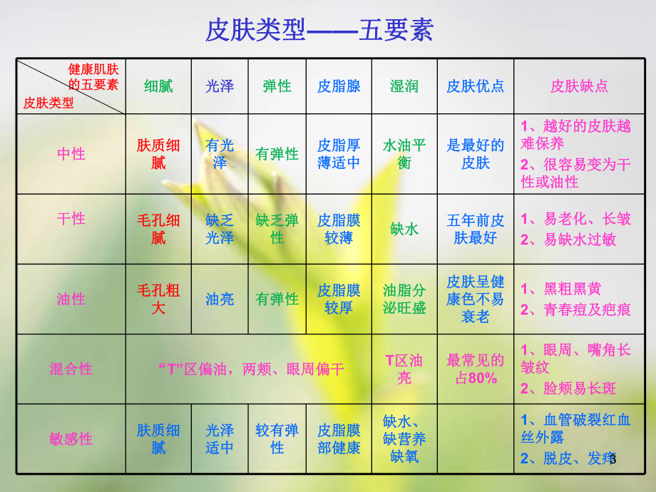 问题性皮肤PPT演示课件.ppt_第3页