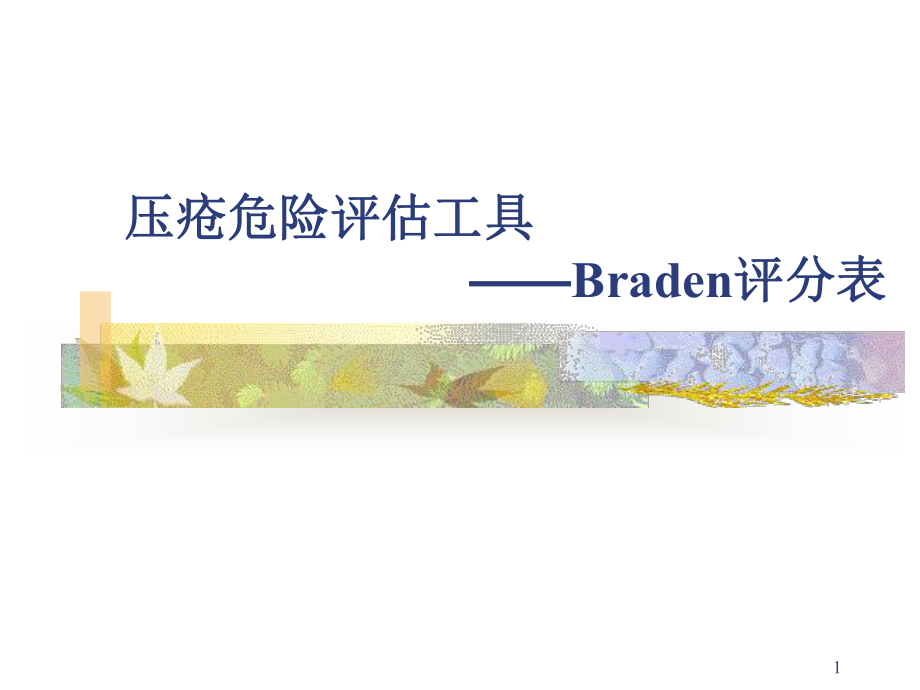 Braden评分表PPT演示课件.ppt_第1页