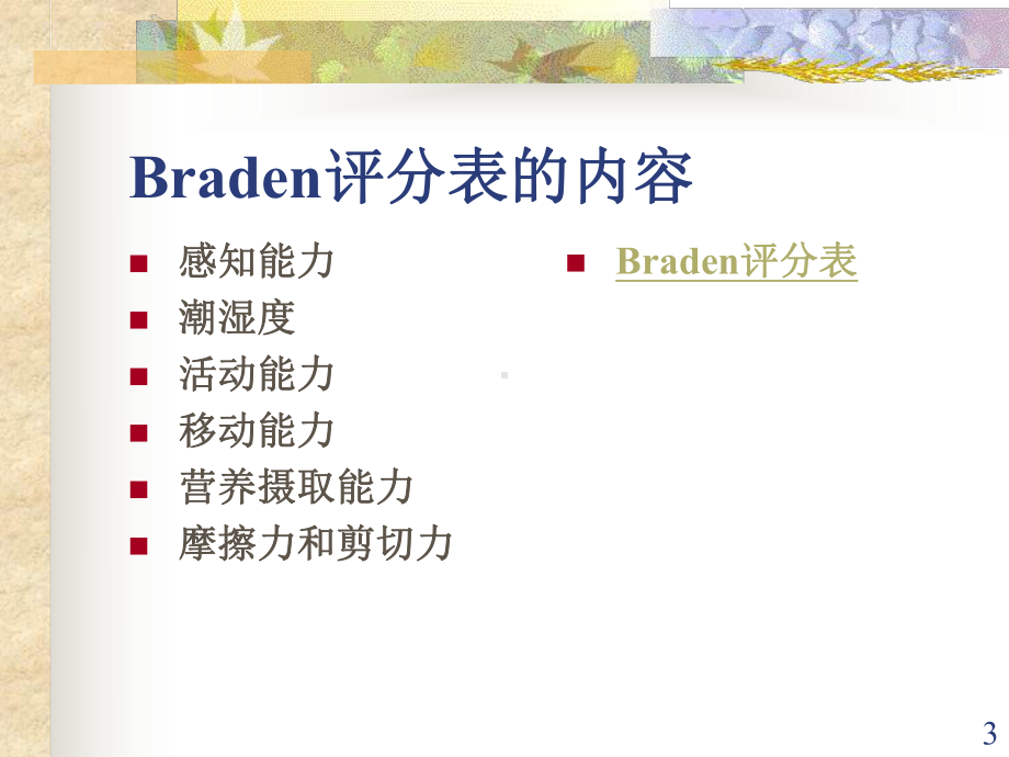 Braden评分表PPT演示课件.ppt_第3页