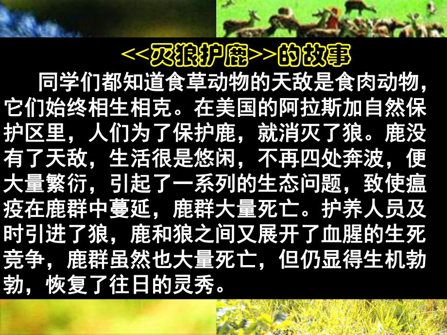 初中八年级政治课件.ppt_第3页