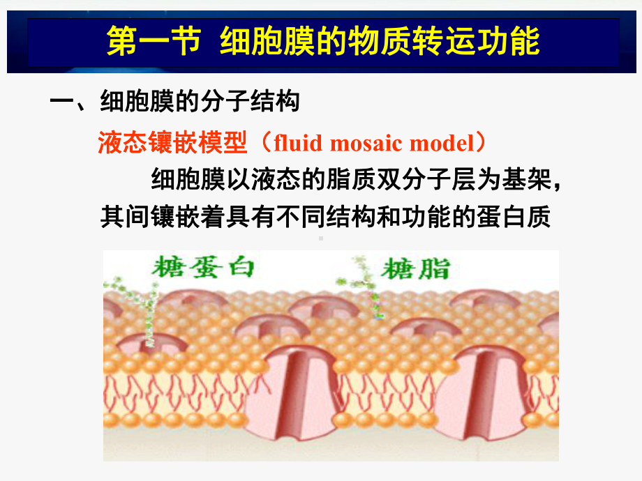 细胞的基本功能PPT课件.pptx_第3页