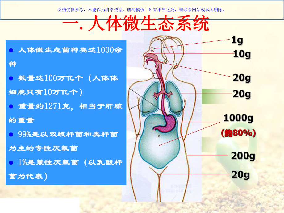 益生菌的相关知识课件.ppt_第2页