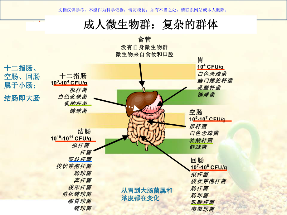 益生菌的相关知识课件.ppt_第3页