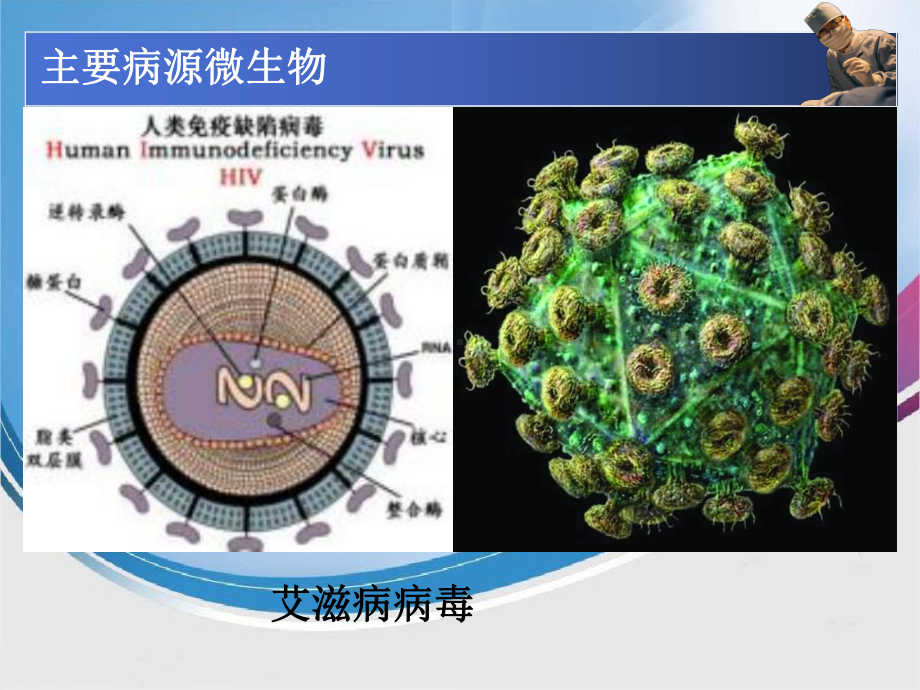 药理学课件(抗菌药全).pptx_第3页