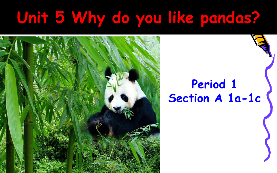 新人教版七年级英语下册Unit-5-Why-do-you-like-pandas-公开课课件.ppt（无音视频）_第2页