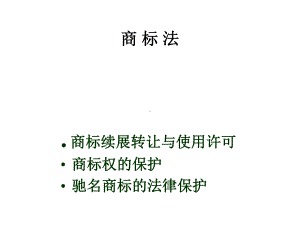 知识产权法-商标权精品PPT课件.ppt