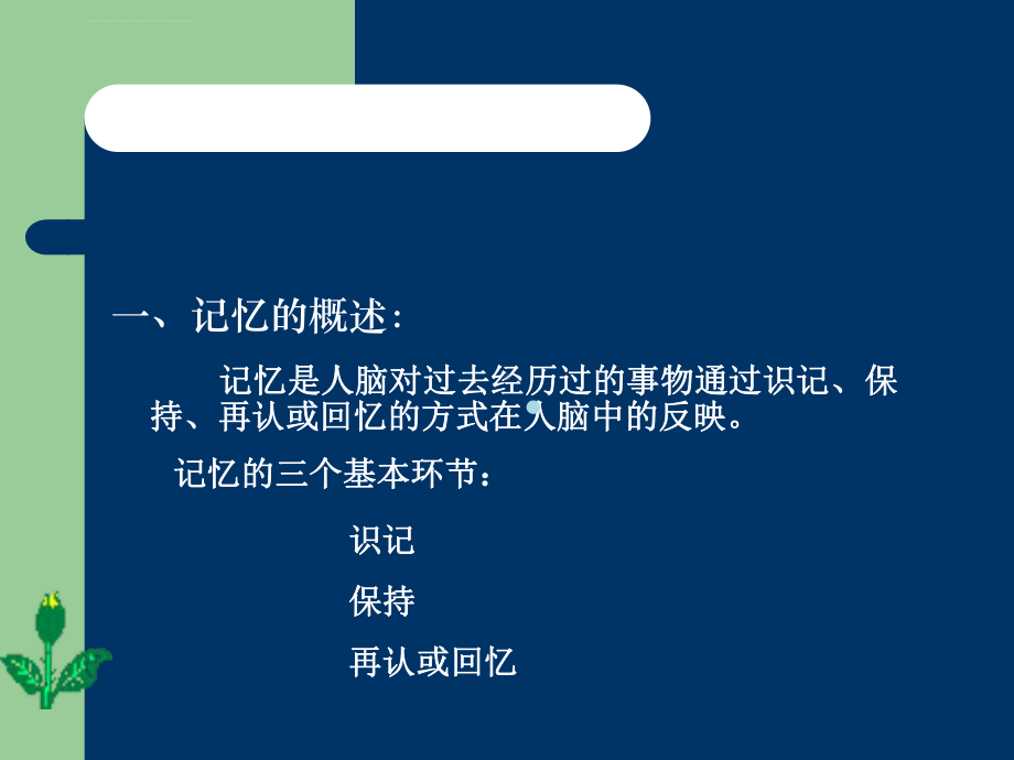 幼儿心理学教学课程幼儿记忆的培养ppt课件.ppt_第2页