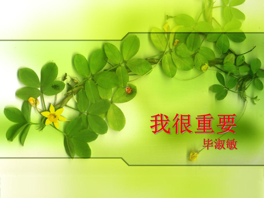 《我很重要》优秀课件.ppt_第1页