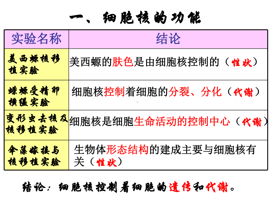 细胞核系统的控制中心PPT培训课件.ppt_第3页