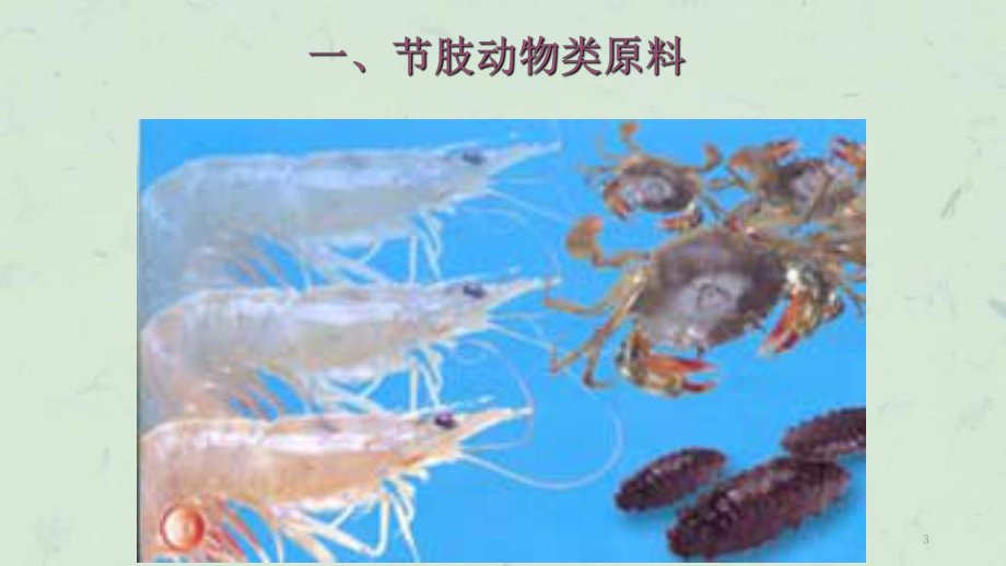 虾蟹类课件.ppt_第3页