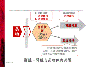 肝功能障碍患者合理用药-ppt课件共36页文档.ppt