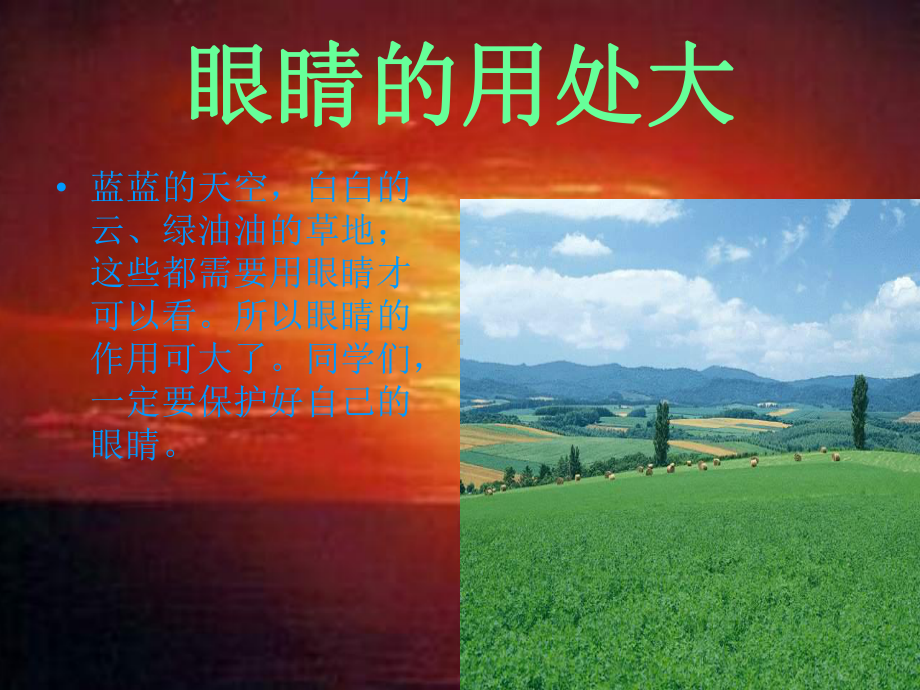 大班健康保护眼睛课件.ppt_第3页