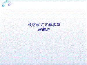 马克思主义基本原理概论专题培训课件.ppt