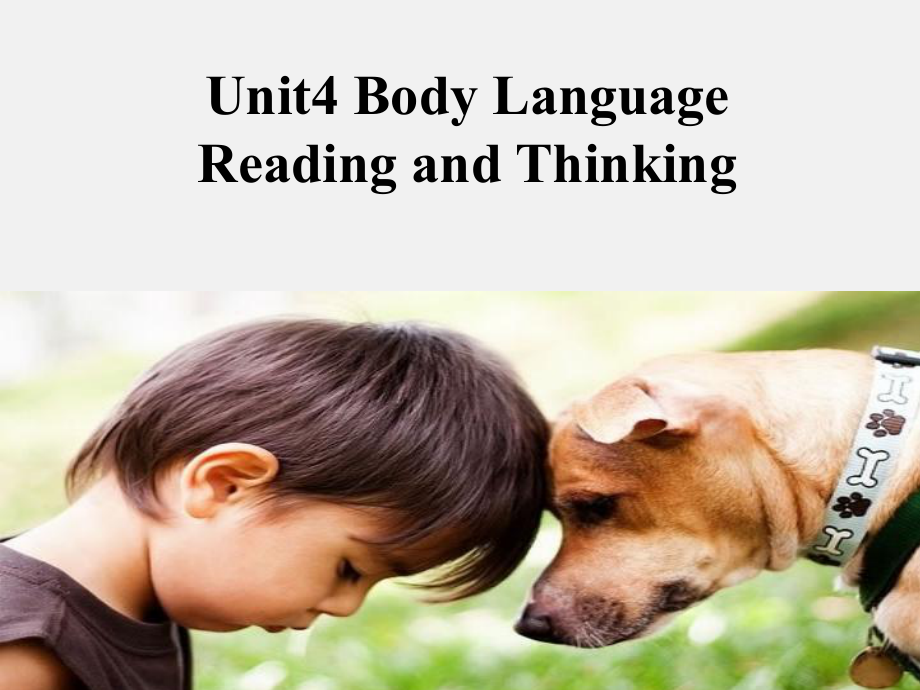 Unit 4 Reading and Thinkingppt课件-(2022新)人教版高中英语选择性必修第一册 .pptx_第1页