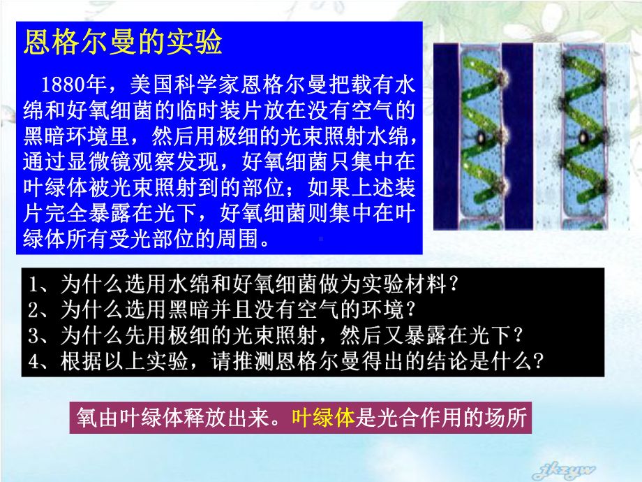 高中生物必修一光合作用PPT课件.ppt_第2页