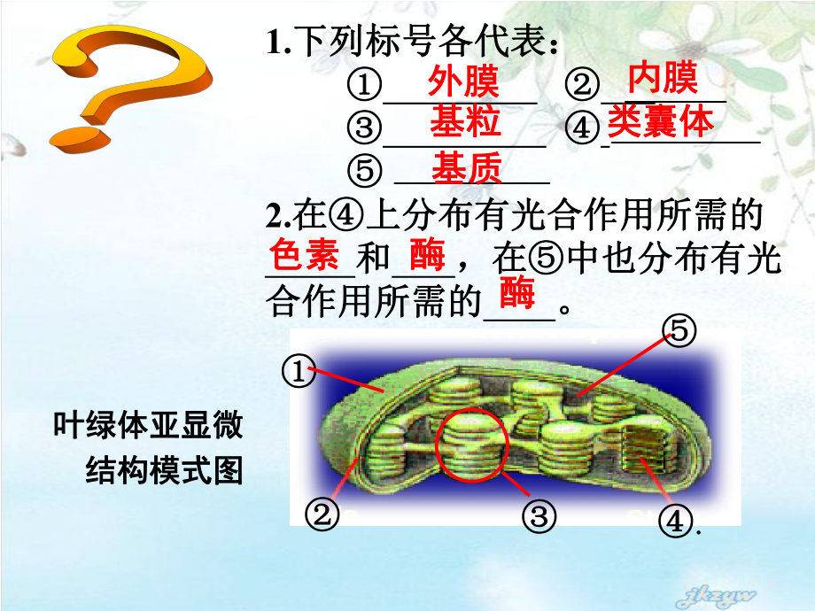 高中生物必修一光合作用PPT课件.ppt_第3页