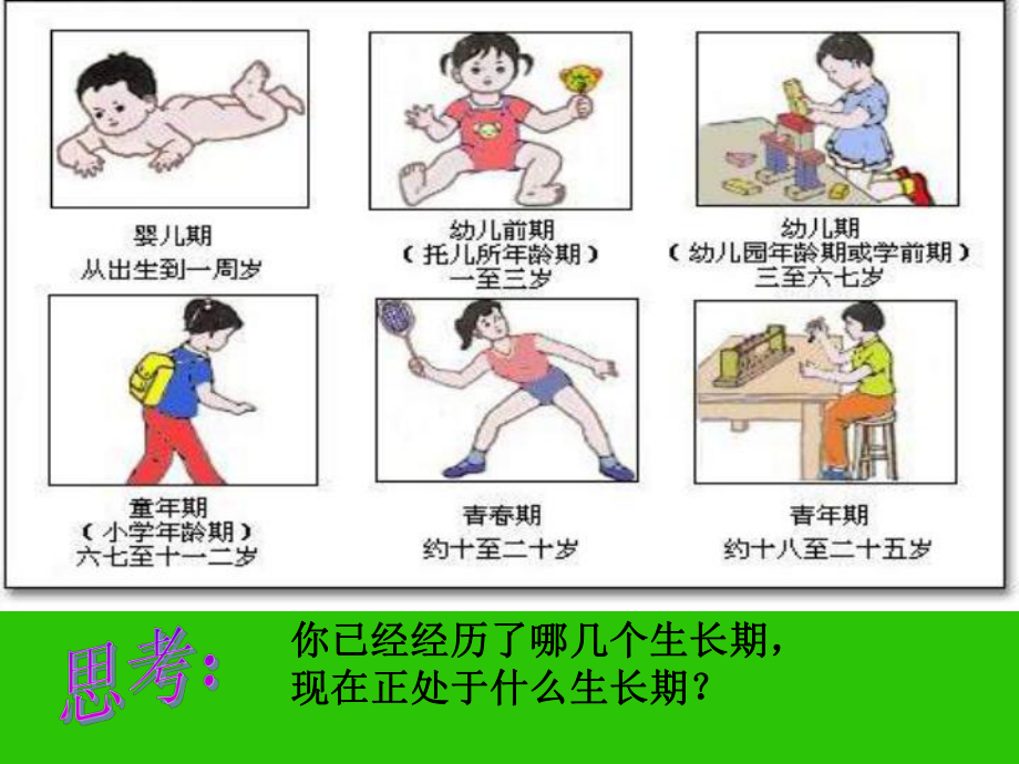 1.3青春期-课件(新人教版七年级下).ppt_第2页