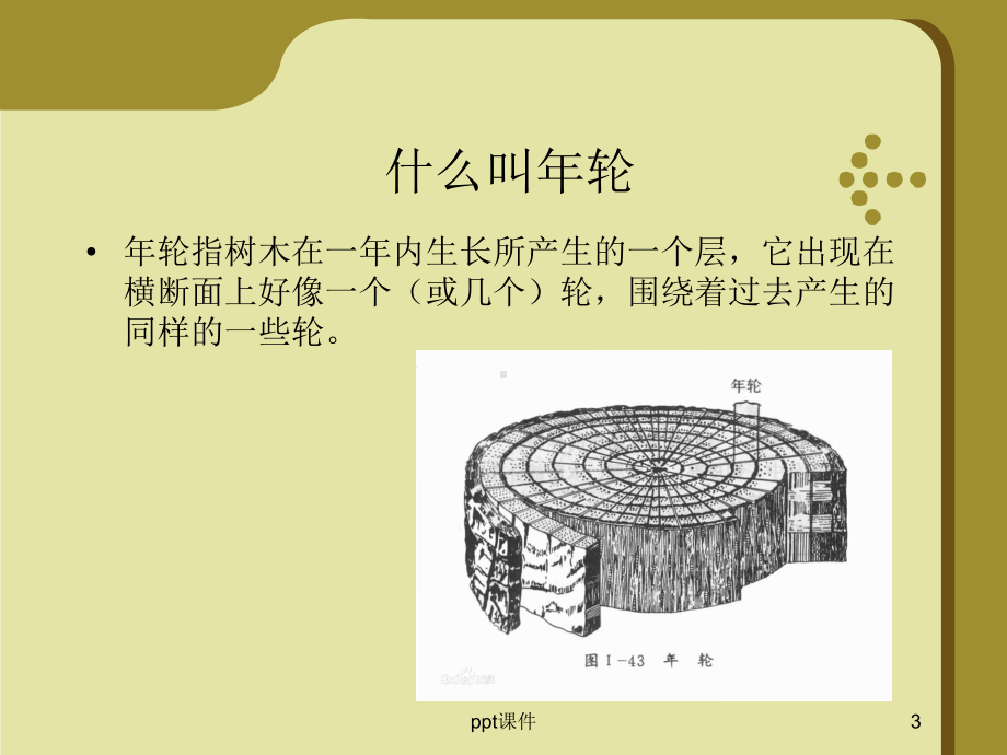 介绍树木年轮-ppt课件.ppt_第3页